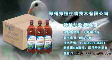 養(yǎng)雞用的益生菌使用方法竟然這么簡單——生物技術(shù)走進養(yǎng)殖戶