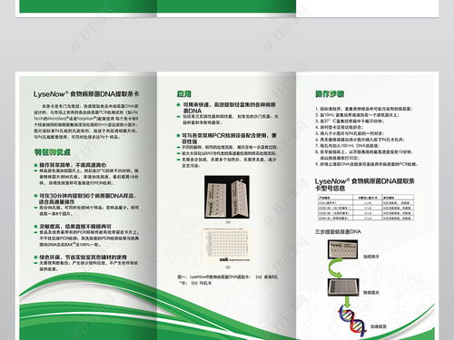 精品綠色能源生物工程科技公司三折頁設(shè)計圖片素材 高清PSD模板下載指南