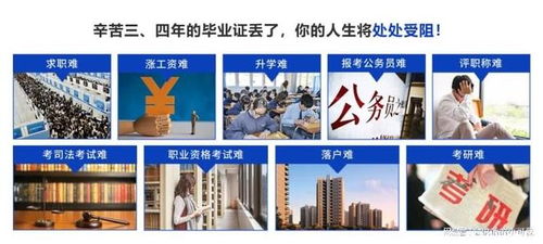 2025年北京檔案存放服務指南 升職貓全程跟進，助力信息咨詢