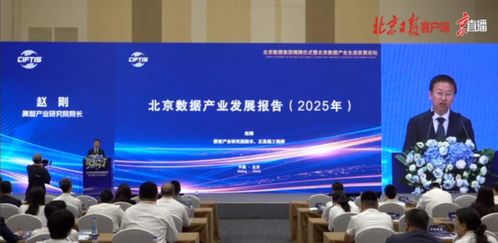 擘畫高質量發展新藍圖 北京數據產業發展報告（2025年）發布與信息技術咨詢服務展望